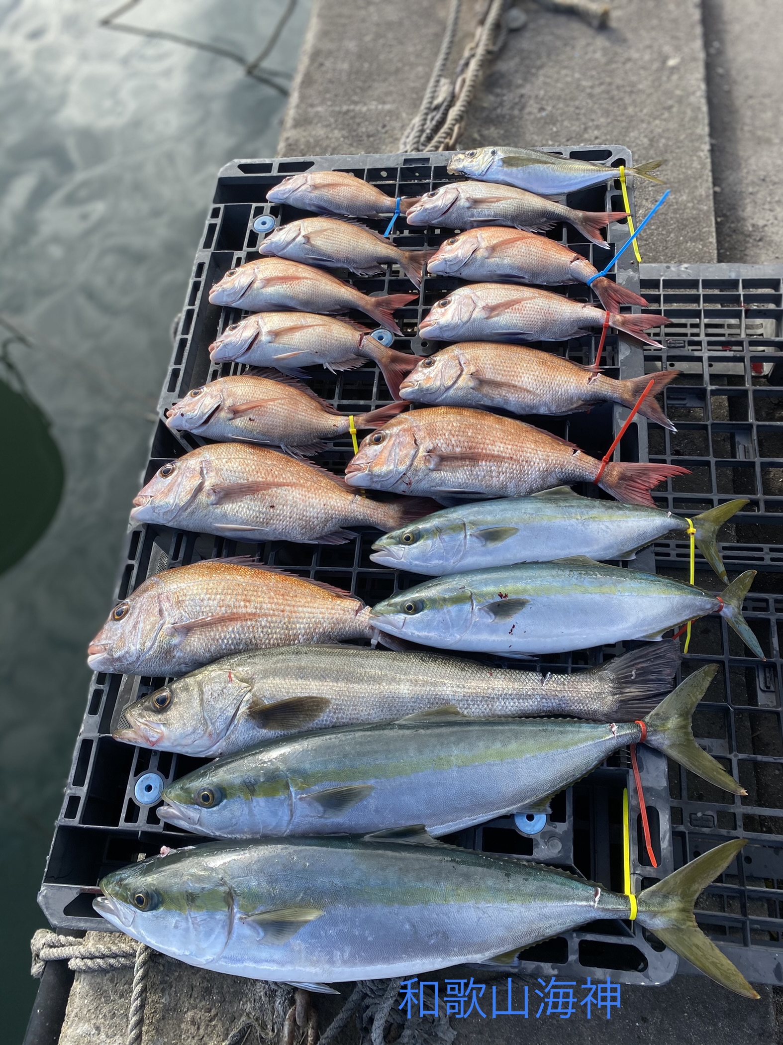 遊漁船 海神 全国の釣り場情報を地図と釣れる魚から調べることができるサイト 全国釣り場 Com