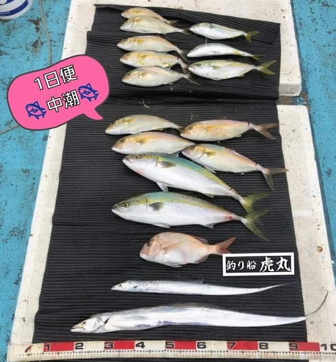 青物 全国の釣り場情報を地図と釣れる魚から調べることができるサイト 全国釣り場 Com Part 72